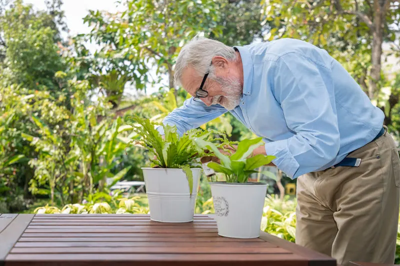 Estimulación mental para adultos mayores con actividades para la salud mental como la jardinería