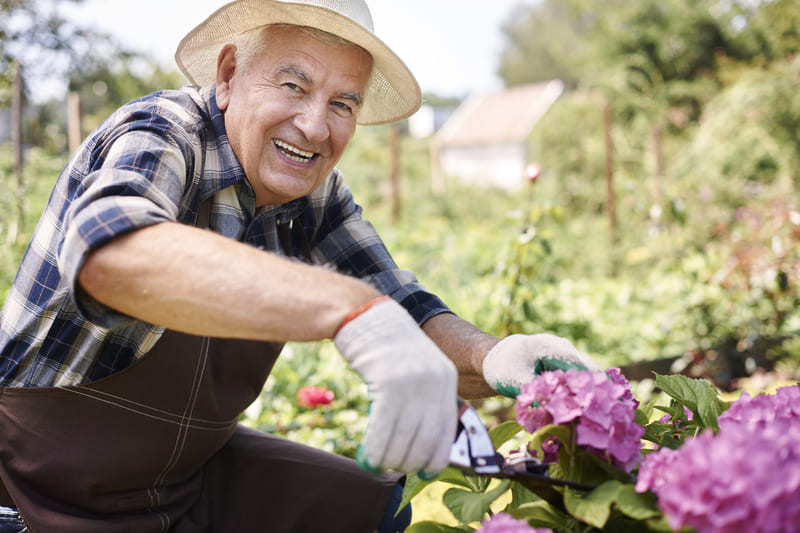 Conoce la jardinería terapéutica